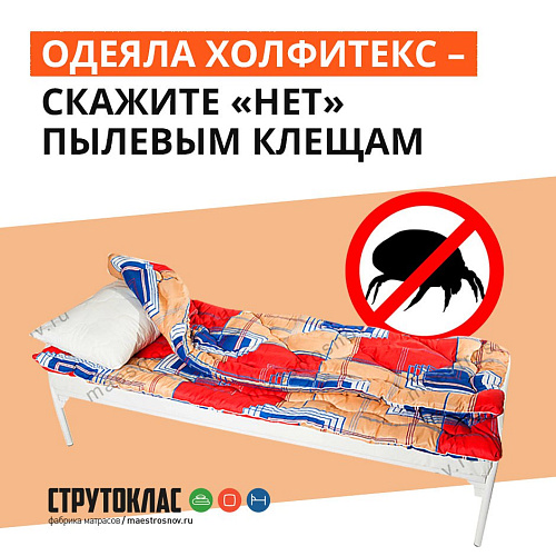 Одеяла Холфитекс — скажите «нет» пылевым клещам!